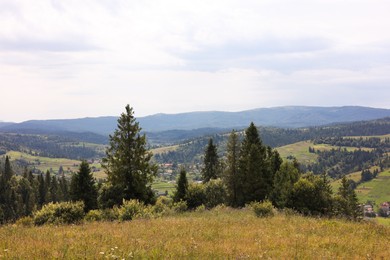 Photo of Beautiful view of forest in mountains under blue sky