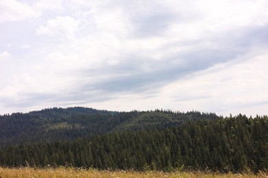 Beautiful view of forest in mountains under blue sky