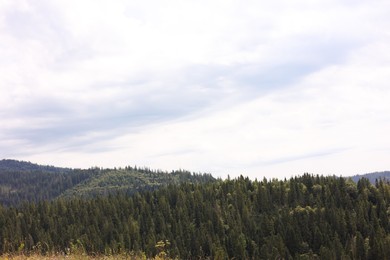 Photo of Beautiful view of forest in mountains under blue sky