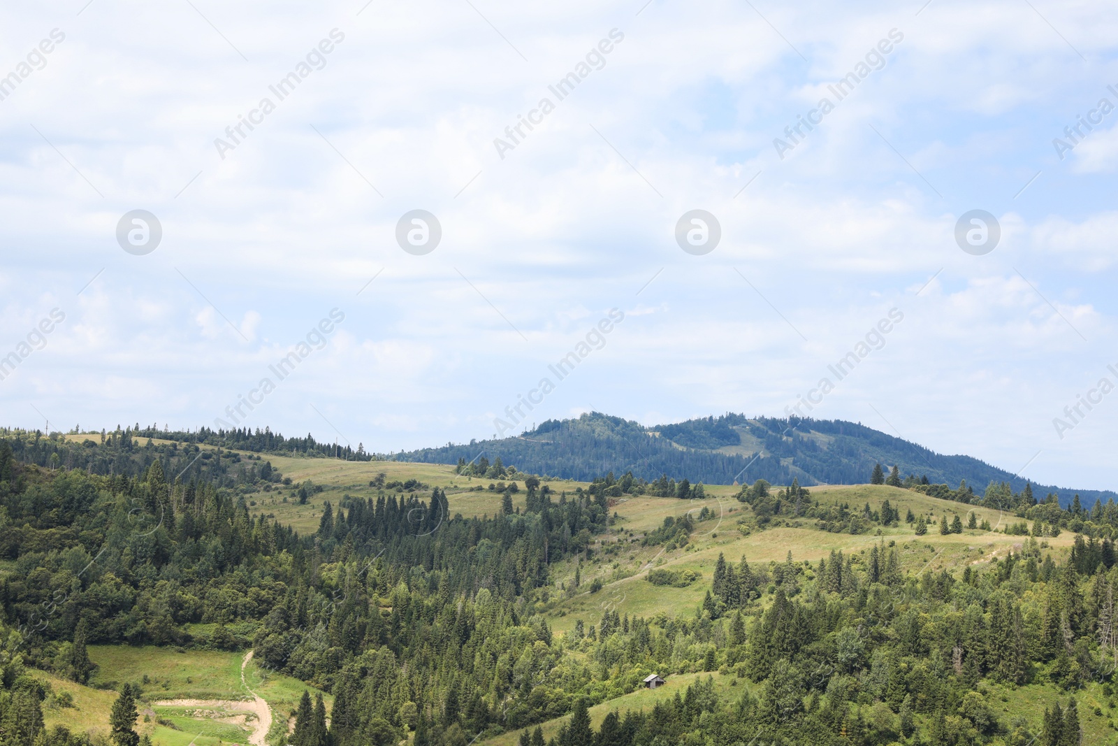 Photo of Beautiful view of forest in mountains under blue sky