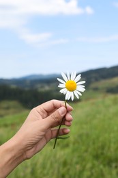 Woman holding beautiful chamomile flower outdoors, closeup