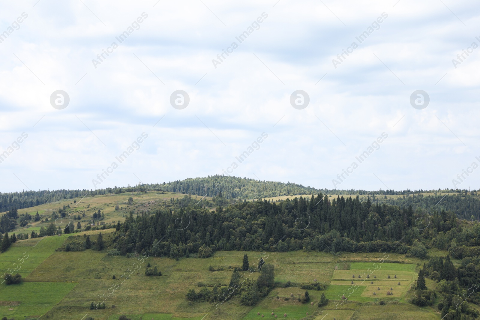 Photo of Beautiful view of forest in mountains under blue sky