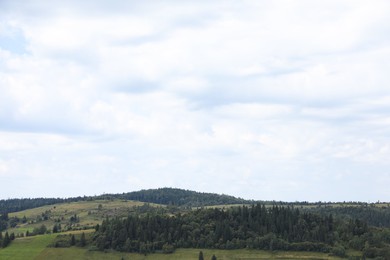 Beautiful view of forest in mountains under blue sky