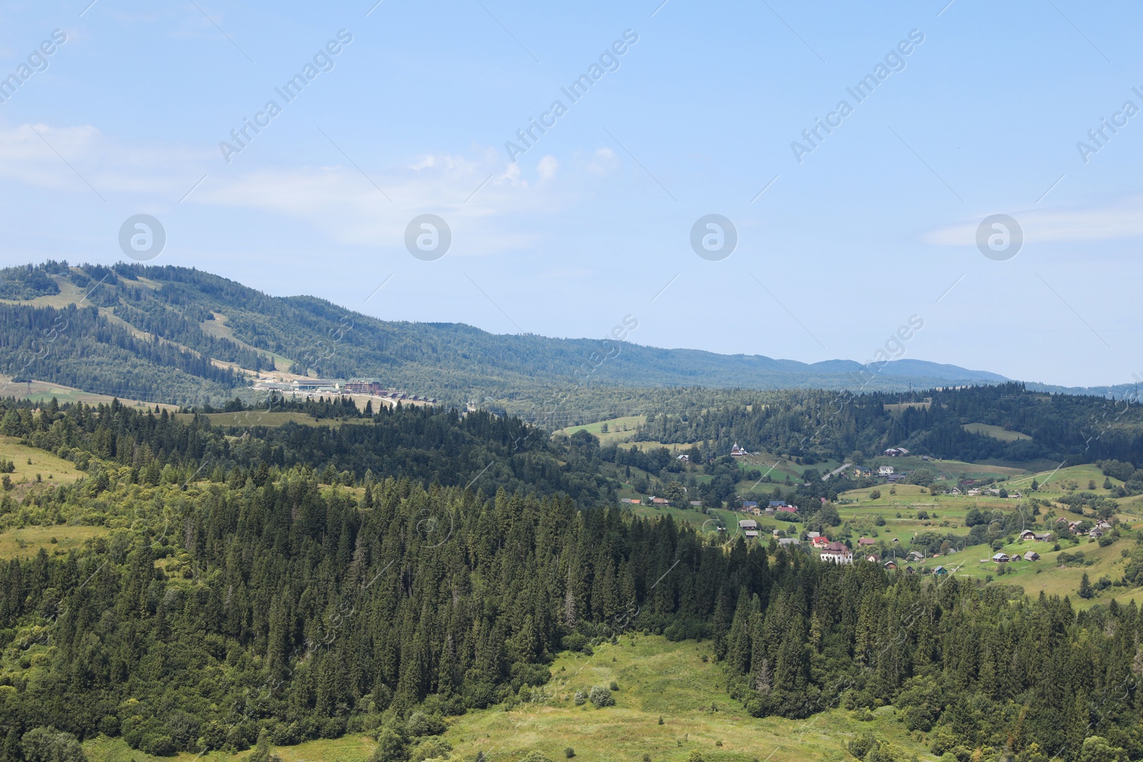 Photo of Beautiful view of forest in mountains under blue sky