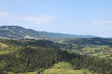 Beautiful view of forest in mountains under blue sky