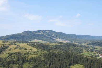 Photo of Beautiful view of forest in mountains under blue sky