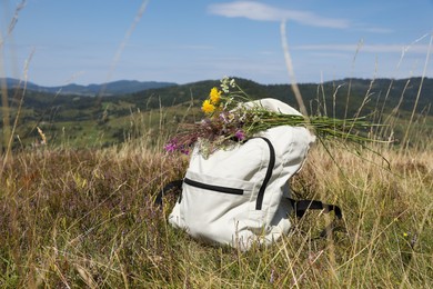 Bouquet of beautiful flowers and backpack in mountains outdoors