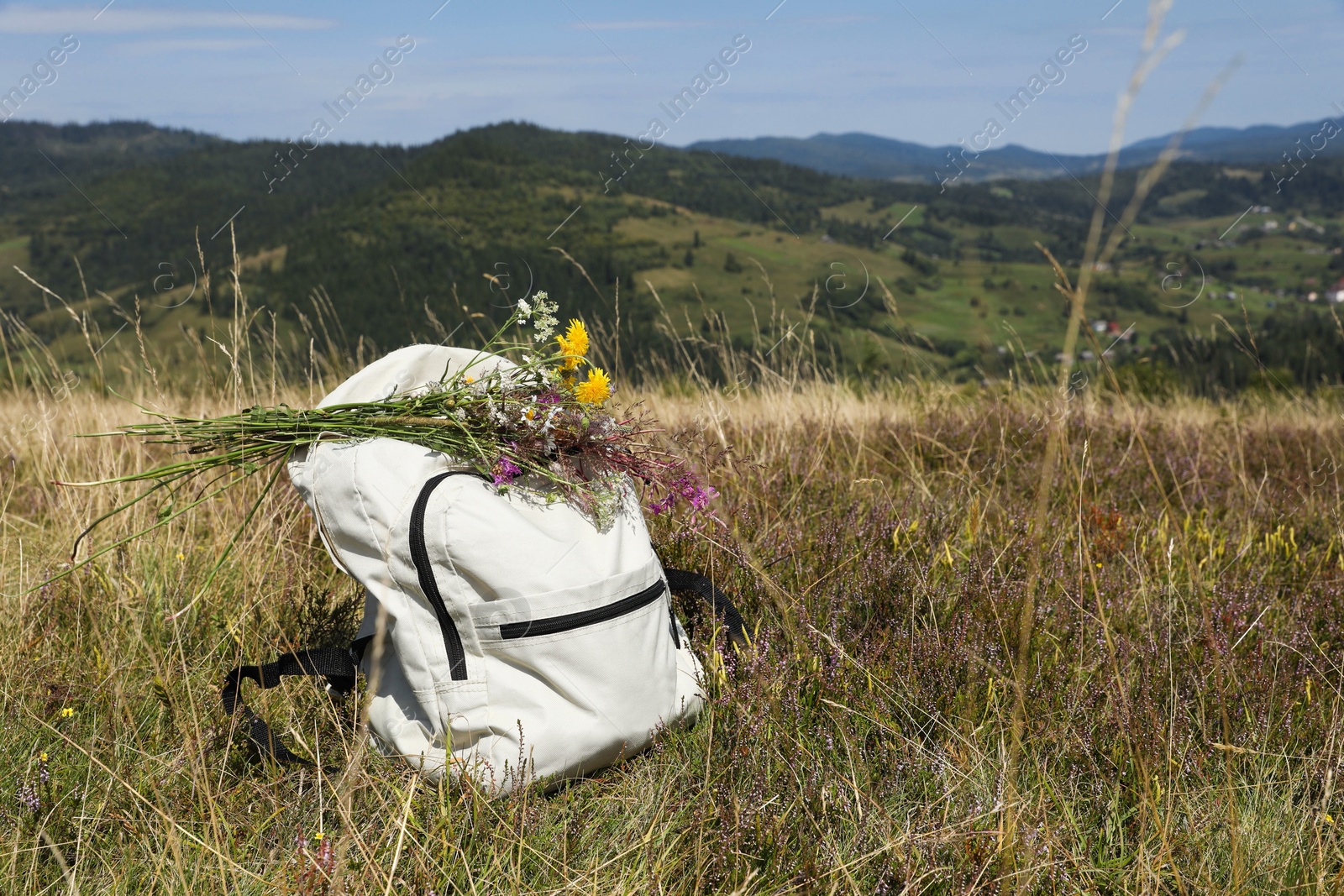 Photo of Bouquet of beautiful flowers and backpack in mountains outdoors, space for text