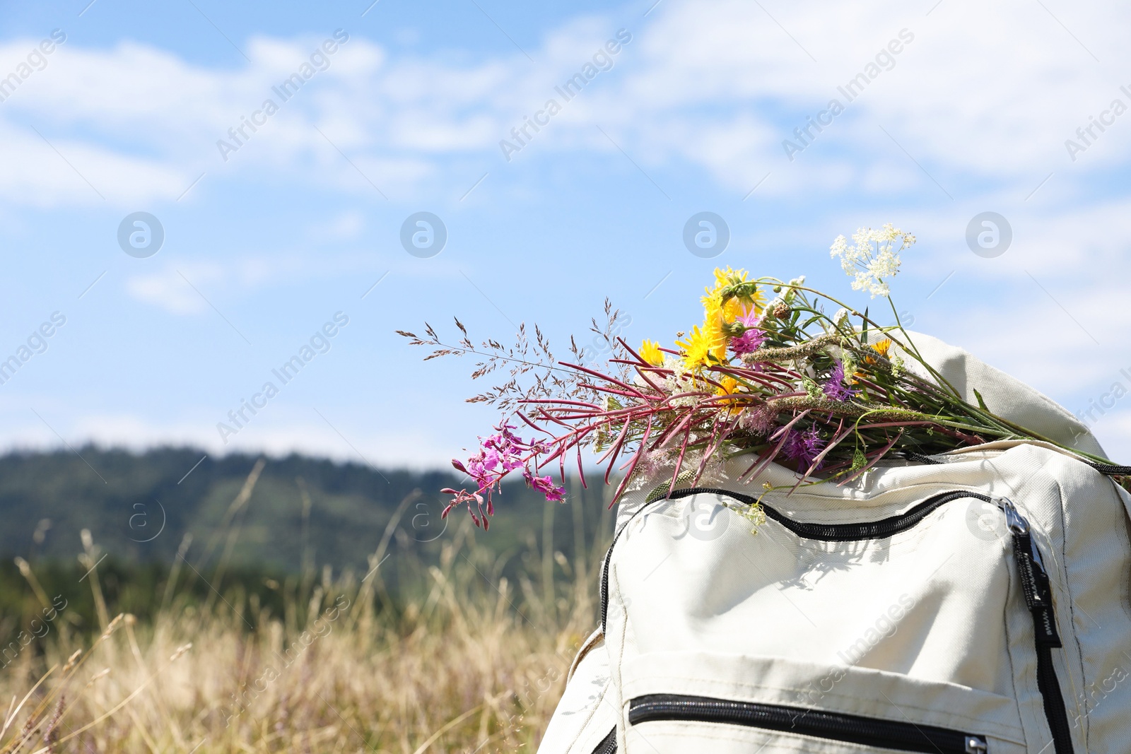 Photo of Bouquet of beautiful flowers and backpack in mountains outdoors, closeup. Space for text