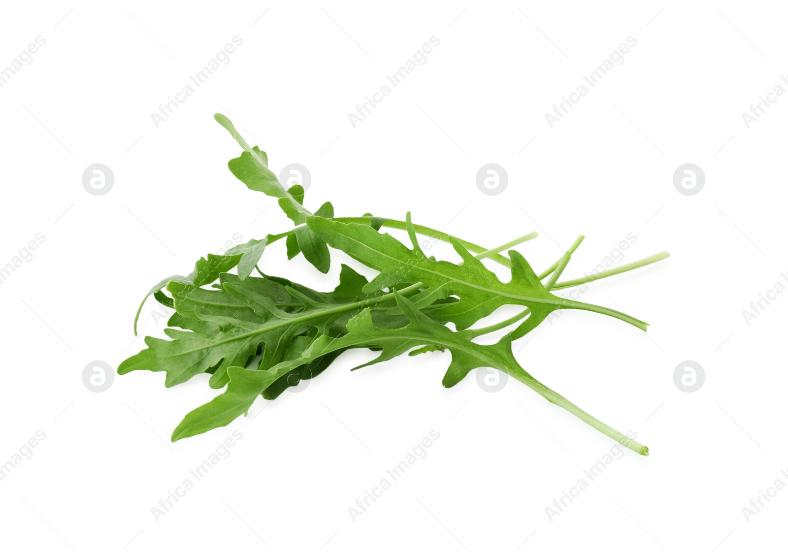 Photo of Many fresh arugula leaves on white background, above view