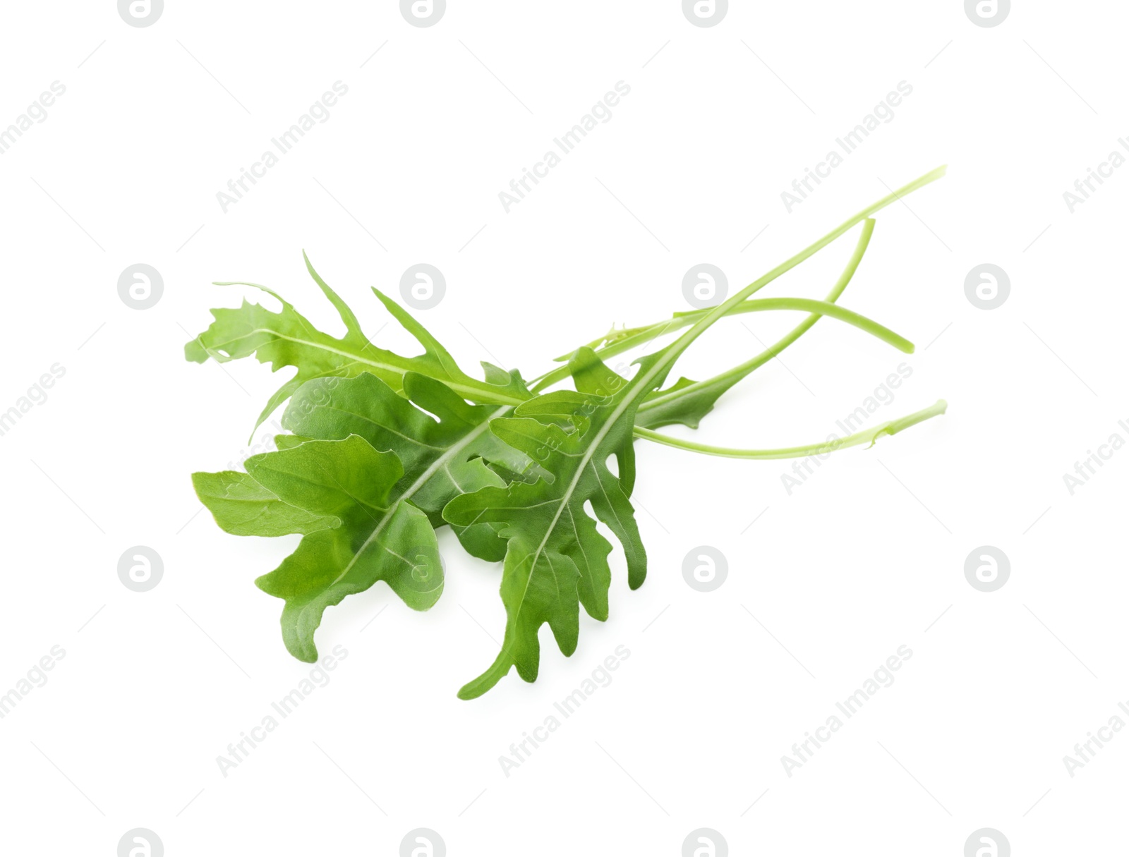 Photo of Many fresh arugula leaves on white background