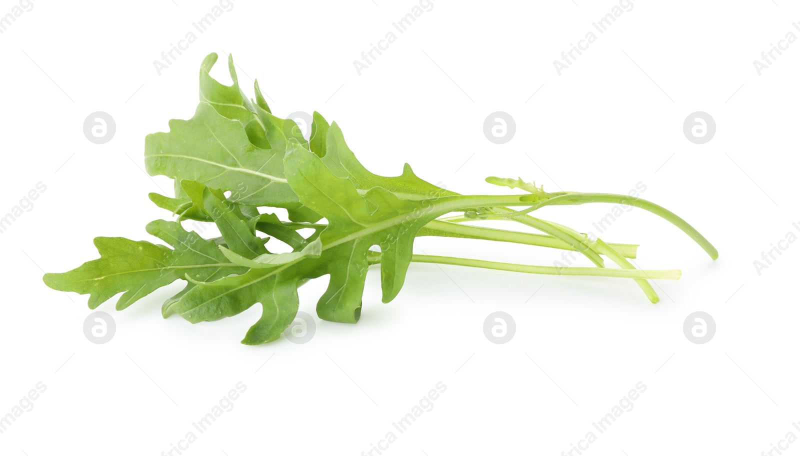 Photo of Many fresh arugula leaves on white background