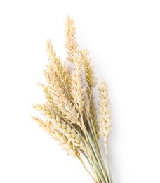 Ears of natural wheat isolated on white