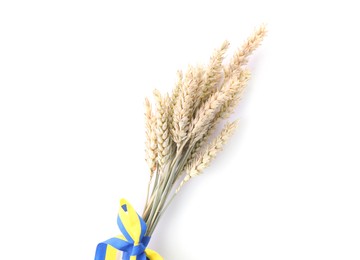 Ears of wheat with ribbon in colors of Ukrainian national flag isolated on white