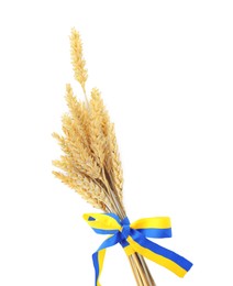 Photo of Ears of wheat with ribbon in colors of Ukrainian national flag isolated on white, top view