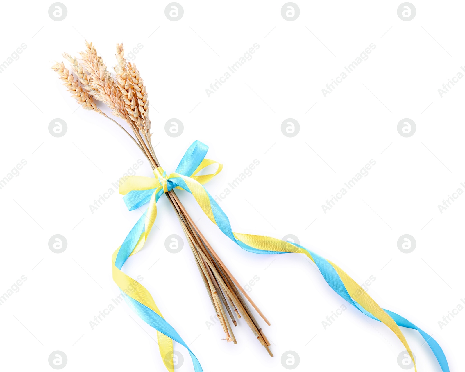 Photo of Ears of wheat with ribbons in colors of Ukrainian national flag isolated on white, above view