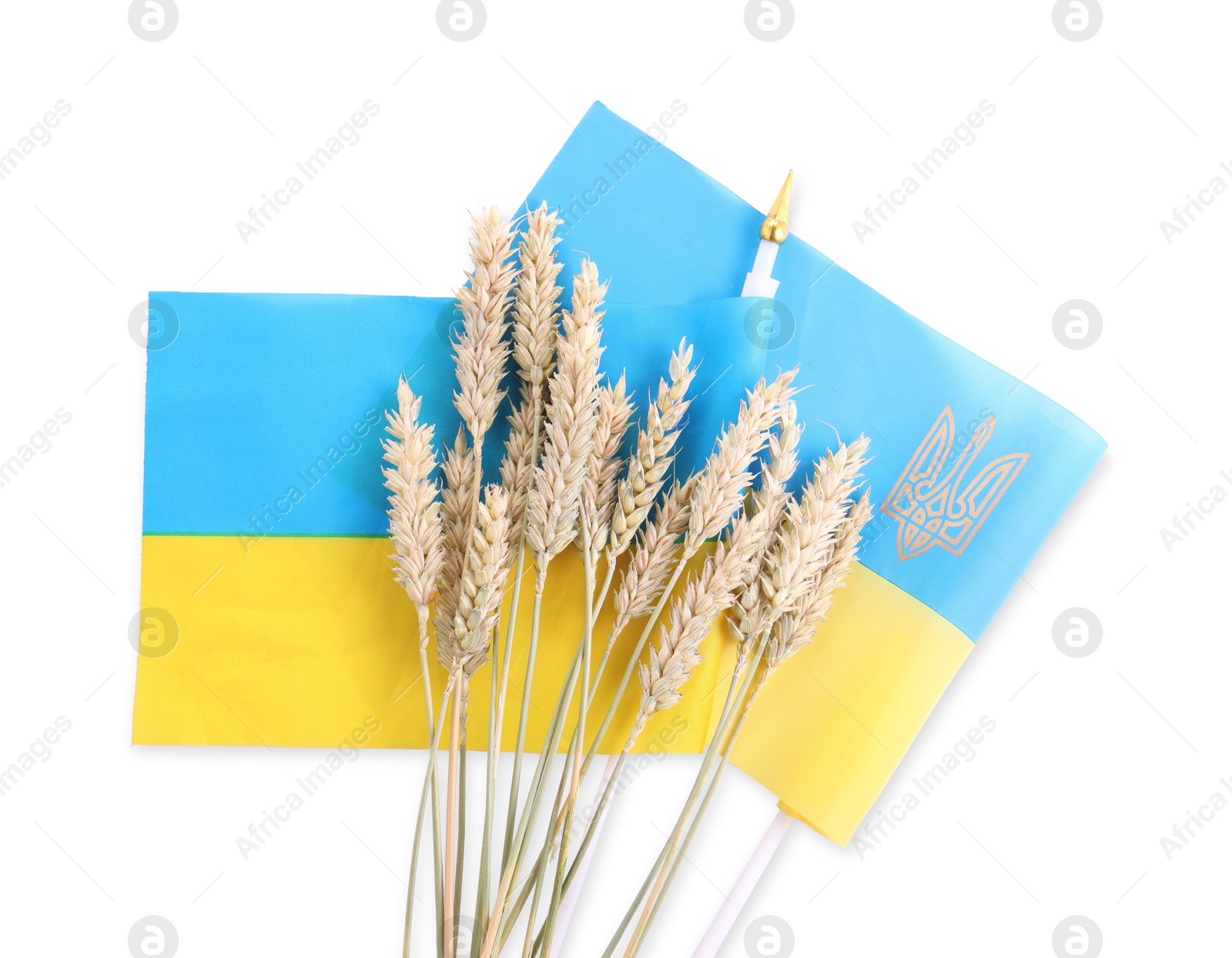 Photo of Ears of wheat and Ukrainian national flag isolated on white, top view