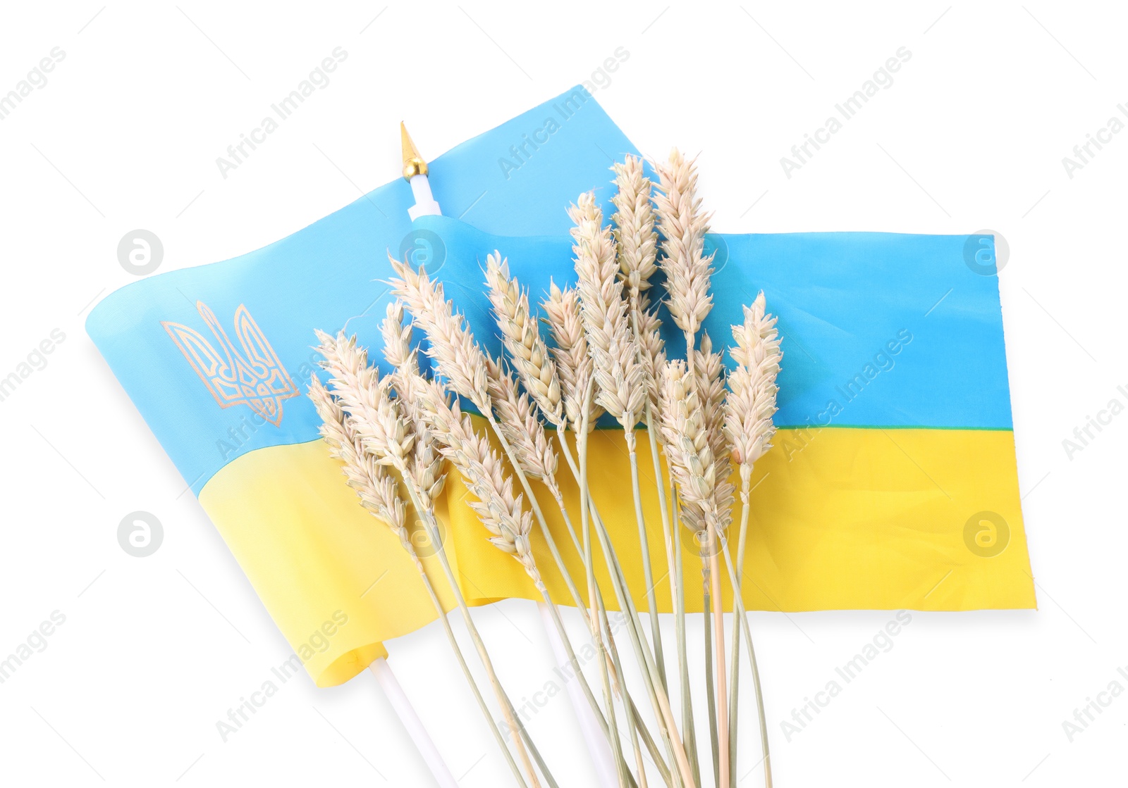 Photo of Ears of wheat and Ukrainian national flag isolated on white, top view