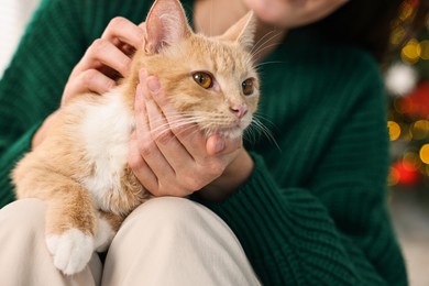 Woman petting cute ginger cat against blurred Christmas lights indoors, closeup