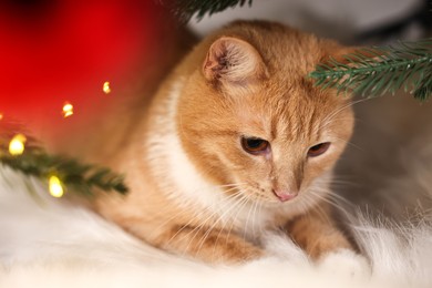 Photo of Cute ginger cat under decorated Christmas tree indoors, closeup