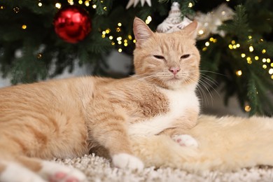 Photo of Cute ginger cat lying on rug near Christmas tree indoors, closeup