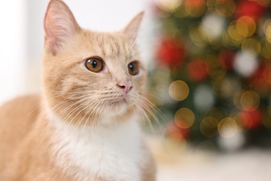 Photo of Cute ginger cat in room decorated for Christmas, closeup