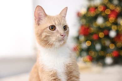 Photo of Cute ginger cat in room decorated for Christmas, closeup