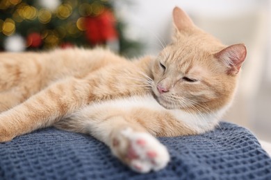 Photo of Cute ginger cat lying on blanket in room decorated for Christmas, closeup