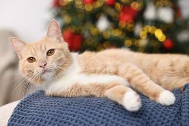 Photo of Cute ginger cat lying on blanket in room decorated for Christmas, closeup