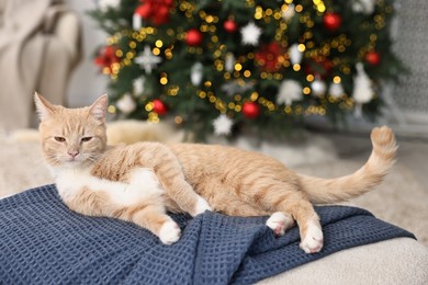 Photo of Cute ginger cat lying on blanket in room decorated for Christmas