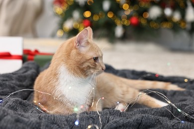 Photo of Cute ginger cat lying on blanket in room decorated for Christmas, closeup