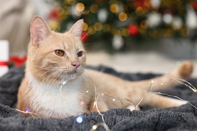 Photo of Cute ginger cat lying on blanket in room decorated for Christmas, closeup