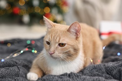 Photo of Cute ginger cat lying on blanket in room decorated for Christmas, closeup