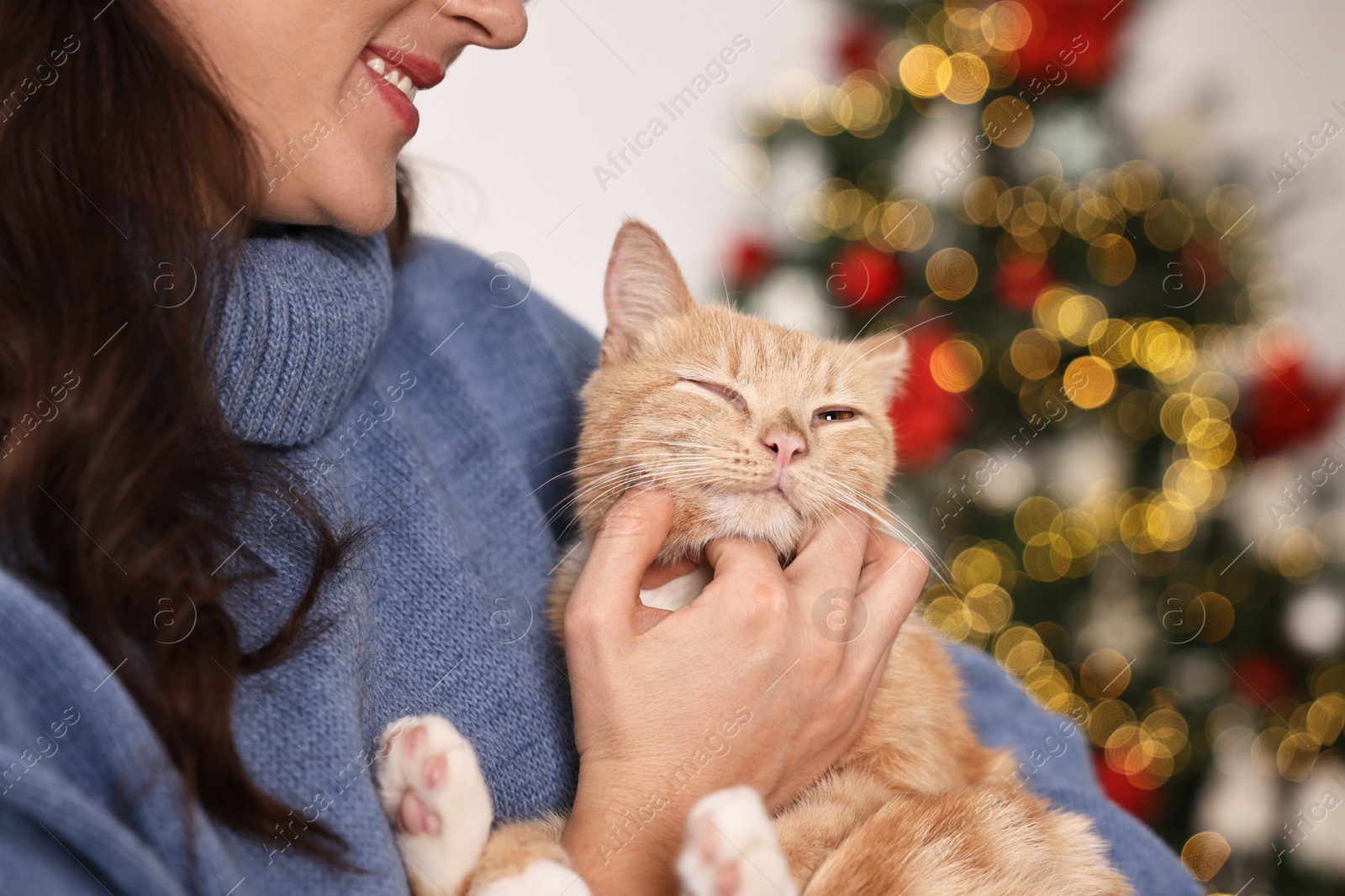 Photo of Woman petting cute ginger cat against blurred Christmas lights indoors, closeup