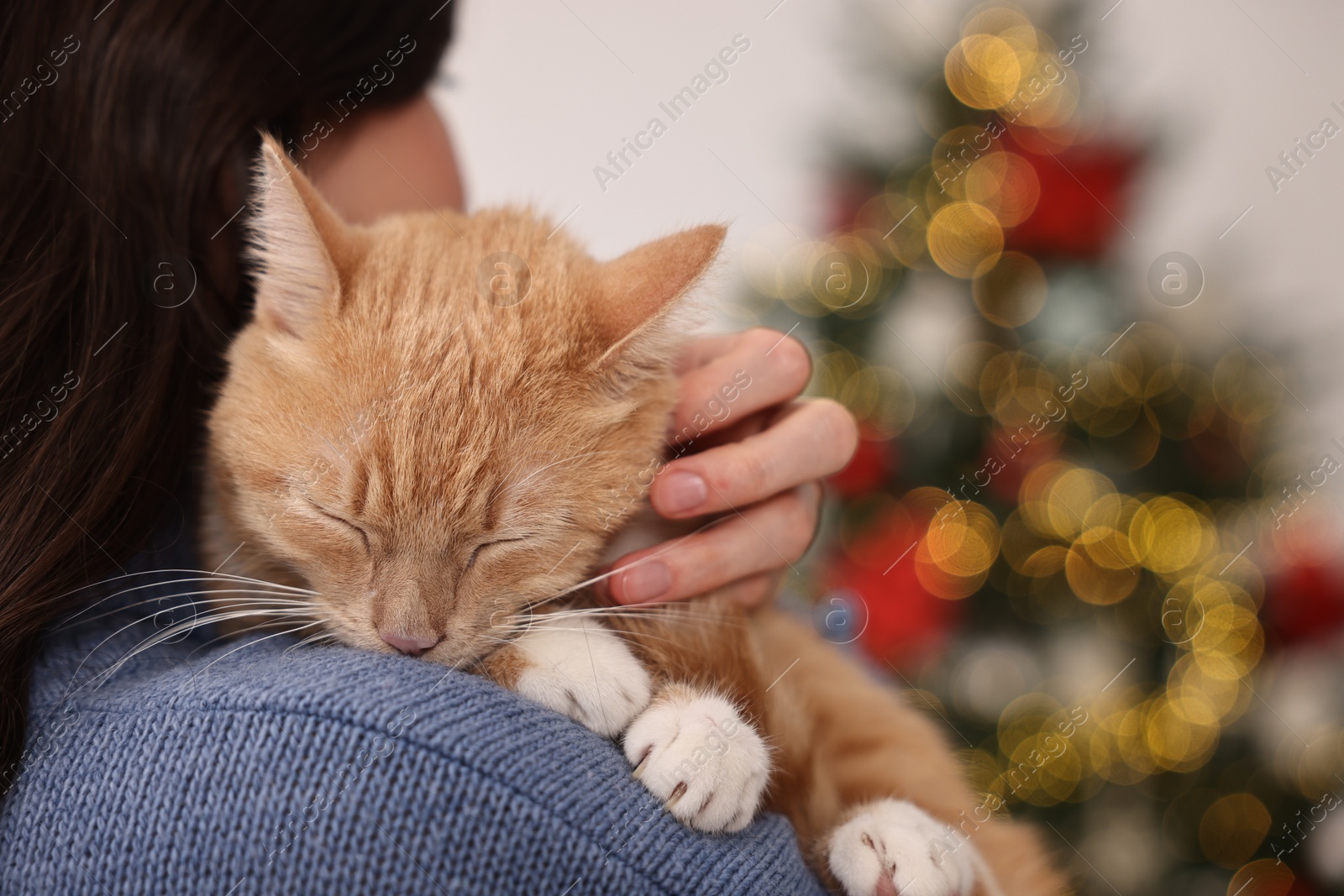 Photo of Woman with cute ginger cat against blurred Christmas lights indoors, closeup