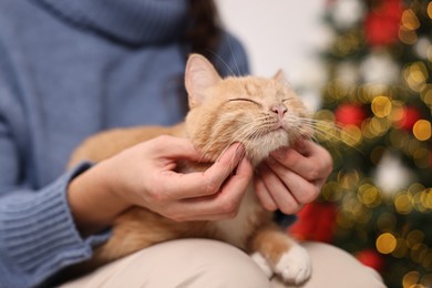 Woman petting cute ginger cat against blurred Christmas lights indoors, closeup