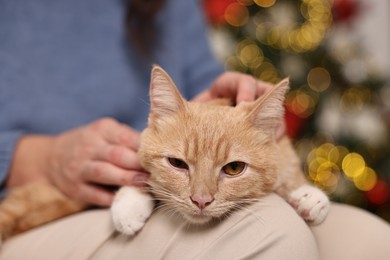 Photo of Woman with cute ginger cat against blurred Christmas lights indoors, closeup