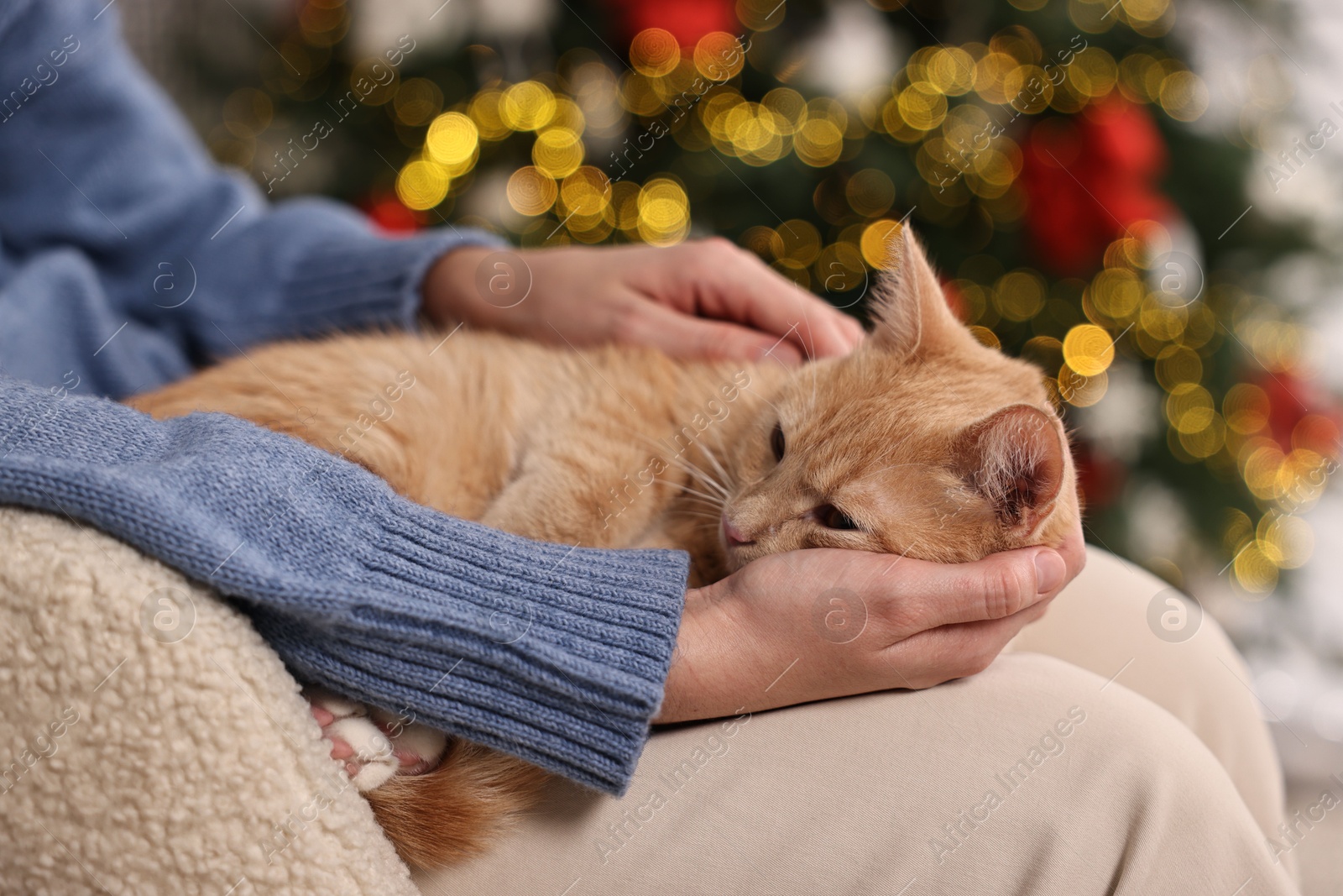 Photo of Woman with cute ginger cat against blurred Christmas lights indoors, closeup