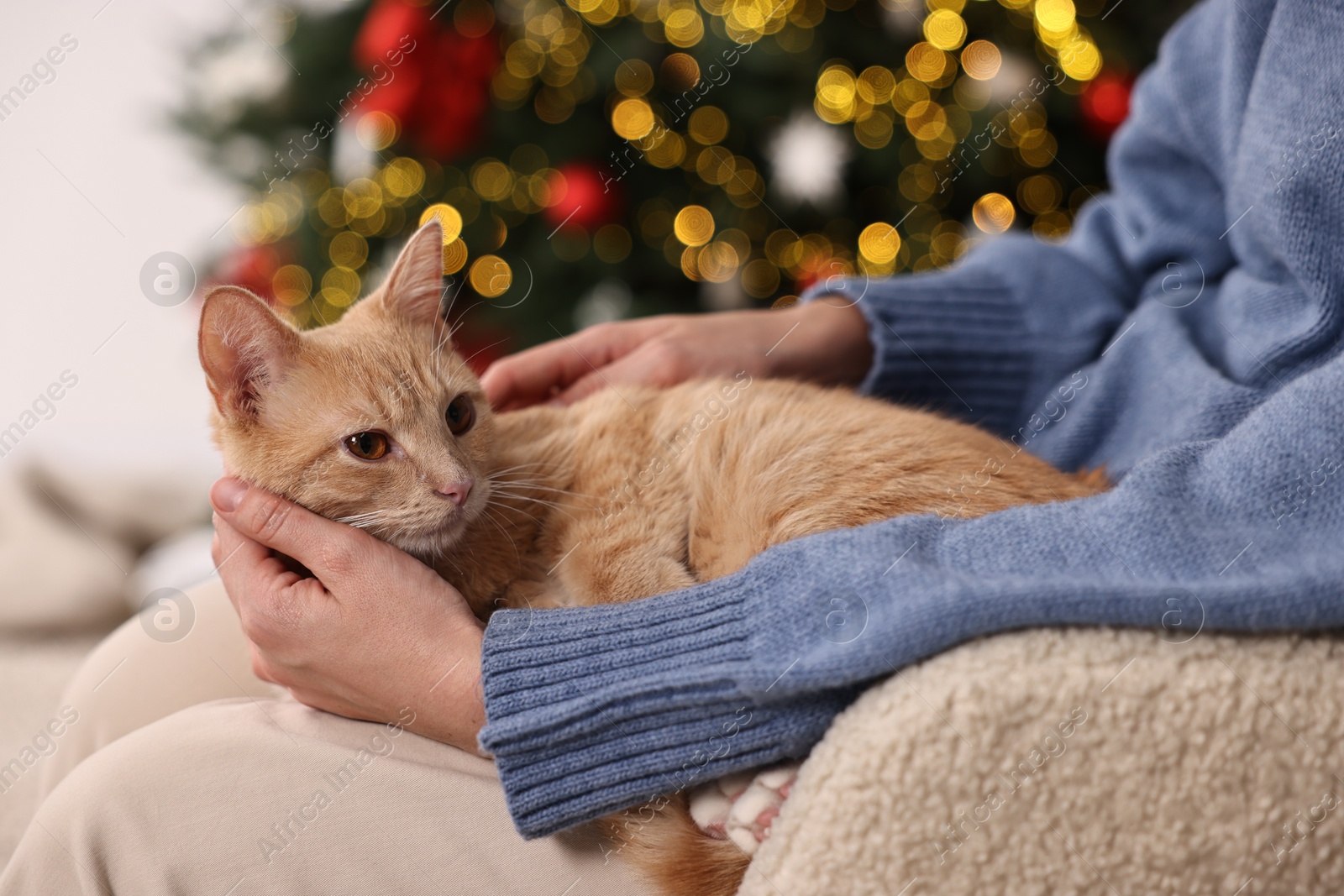 Photo of Woman with cute ginger cat against blurred Christmas lights indoors, closeup