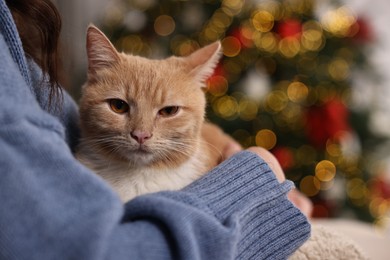 Woman with cute ginger cat against blurred Christmas lights indoors, closeup