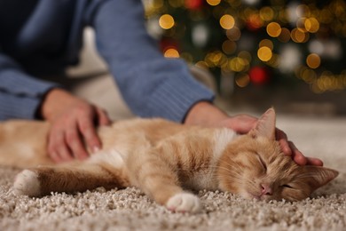 Woman petting cute ginger cat against blurred Christmas lights indoors, closeup