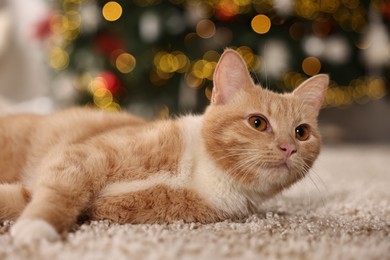 Photo of Cute ginger cat lying on rug in room decorated for Christmas, closeup