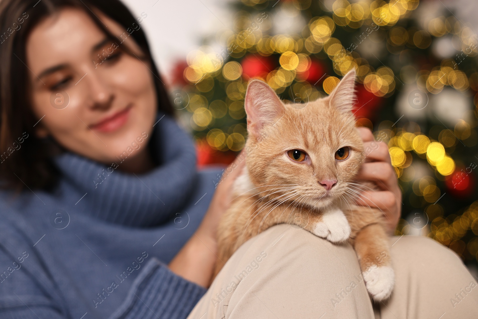 Photo of Woman petting cute ginger cat against blurred Christmas lights, selective focus