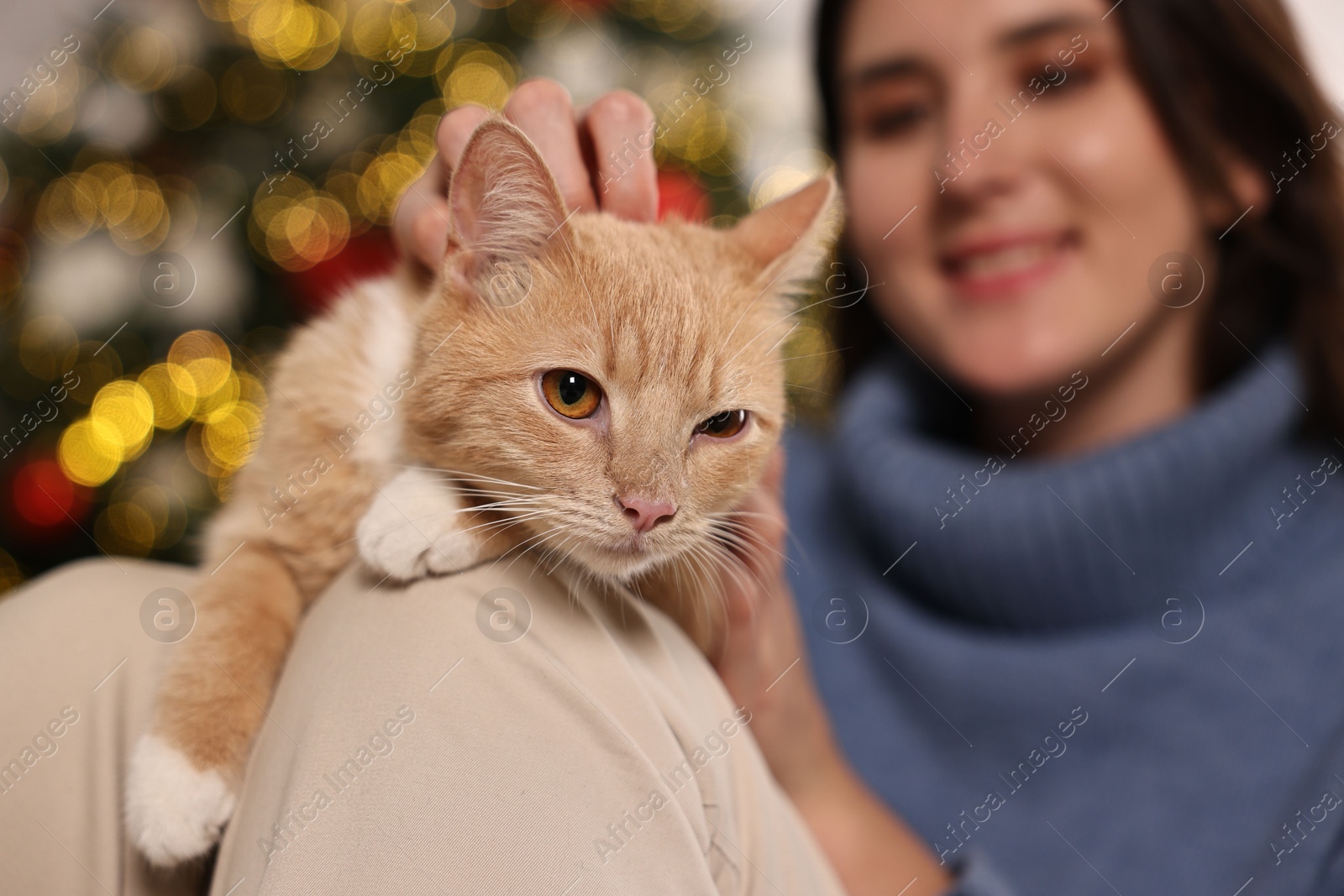 Photo of Woman petting cute ginger cat against blurred Christmas lights, selective focus