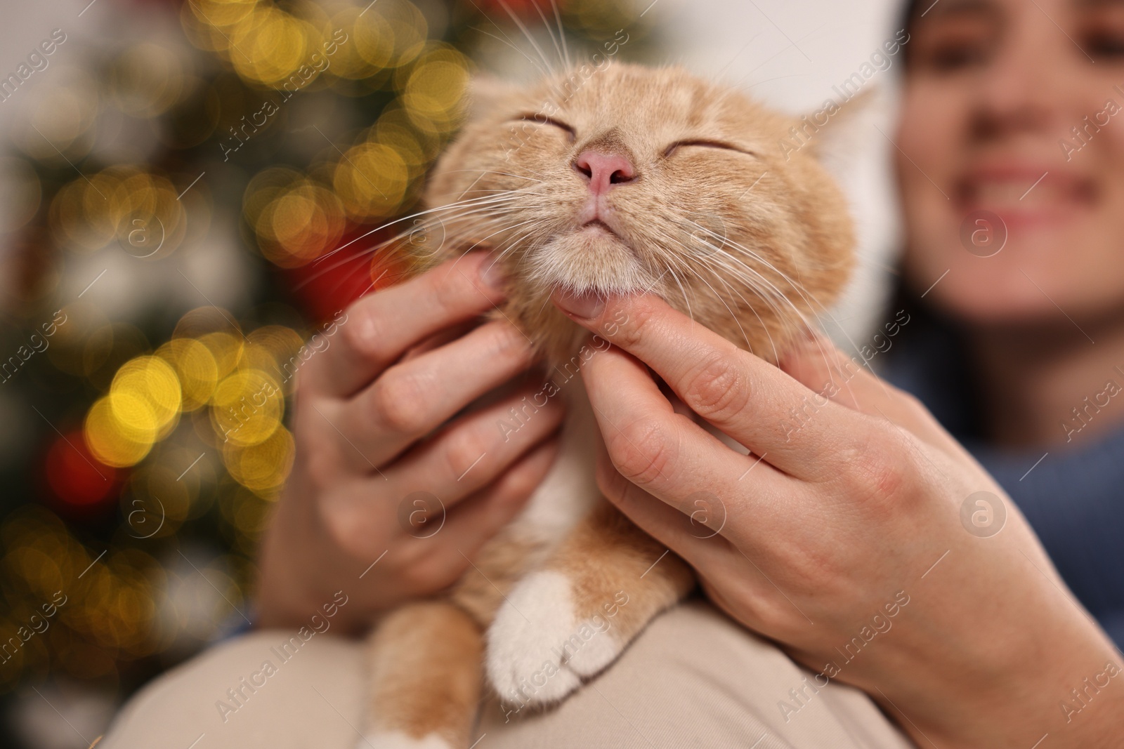 Photo of Woman petting cute ginger cat against blurred Christmas lights, selective focus