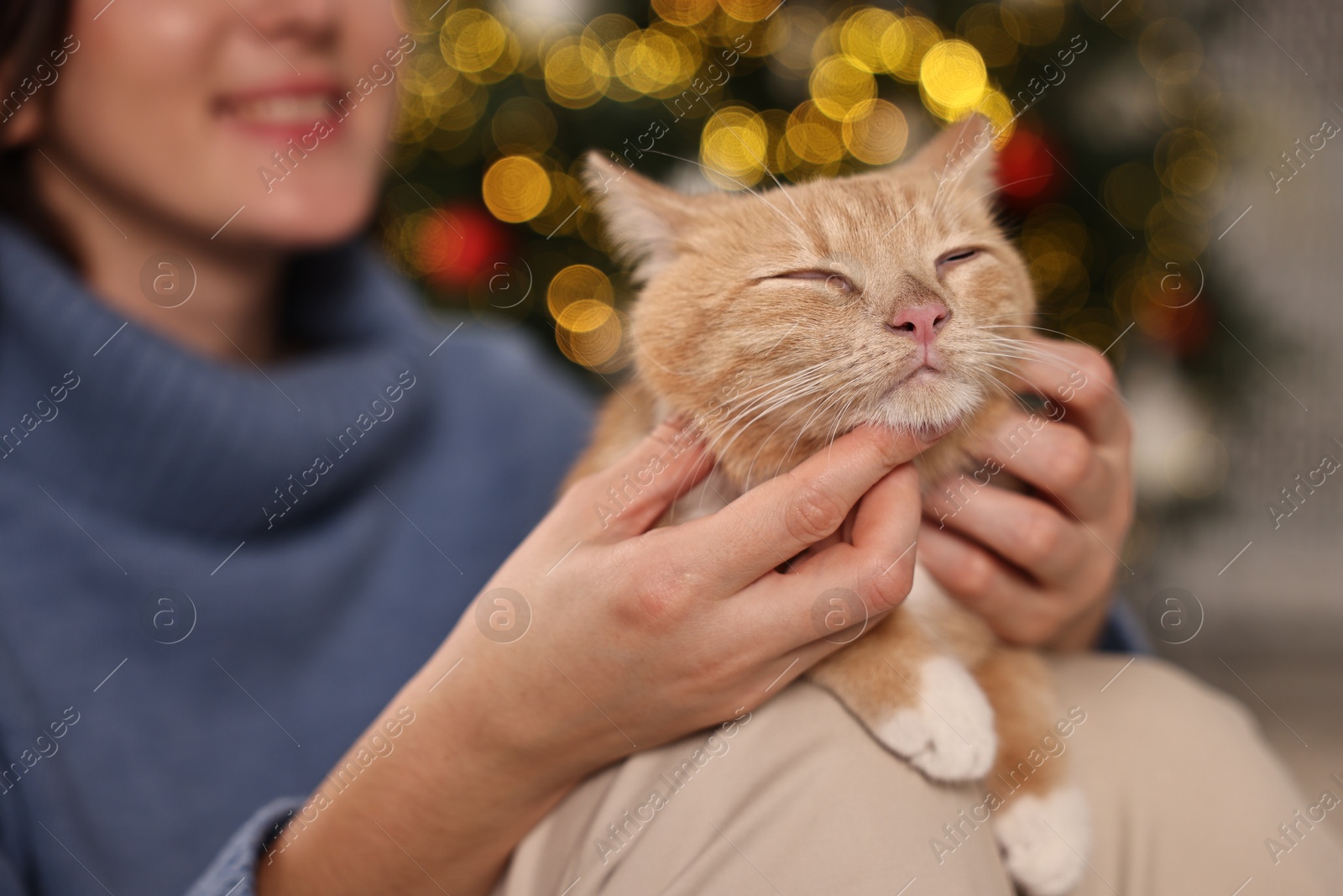 Photo of Woman petting cute ginger cat against blurred Christmas lights, closeup