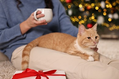 Photo of Woman petting cute ginger cat against blurred Christmas lights indoors, closeup