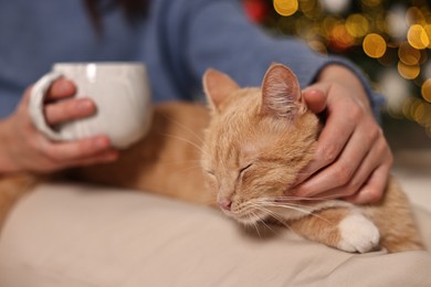 Woman petting cute ginger cat against blurred Christmas lights indoors, closeup