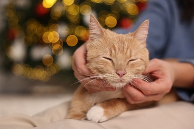 Woman petting cute ginger cat against blurred Christmas lights indoors, closeup