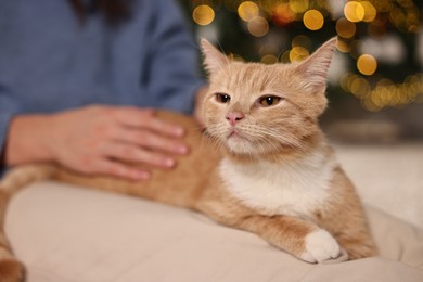 Photo of Woman petting cute ginger cat against blurred Christmas lights indoors, closeup